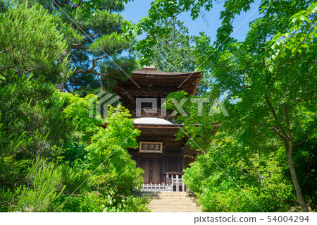 Kyoto's many treasure towers 54004294