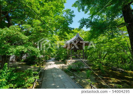 Kyoto Tokiwakoji Fresh green 54004295