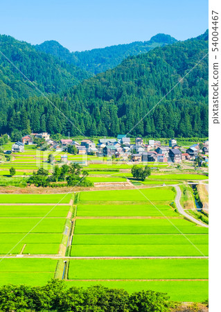 Summer rural landscape (July) Summer rural landscape (July) 54004467