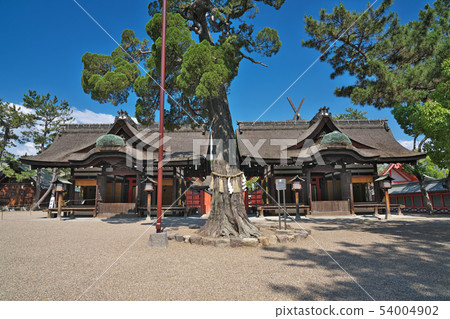 [Sumiyoshi Taisha 3rd Honnomiya 4th Honnomiya] Osaka Prefecture Osaka City Sumiyoshi Ward Sumiyoshi 2 54004902