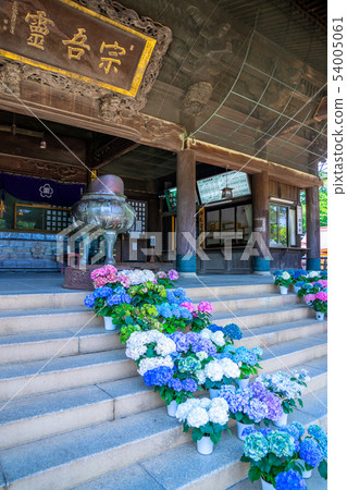 Ajisai Soshu Reido Ajisai Soshu Reido 54005061