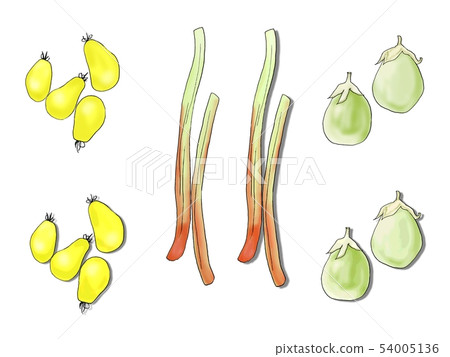 黃色李子大黃白色茄子 54005136