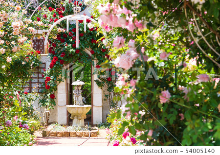 Village of Heidi village Hokuto city Yamanashi Prefecture Rose exhibition of the world Village of Heidi village Hokuto city Yamanashi Prefecture Rose exhibition of the world 54005140