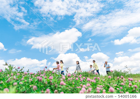 Senior, blue sky, walk, assistance, care, flower, wheelchair Senior, blue sky, walk, assistance, care, flower, wheelchair 54005166