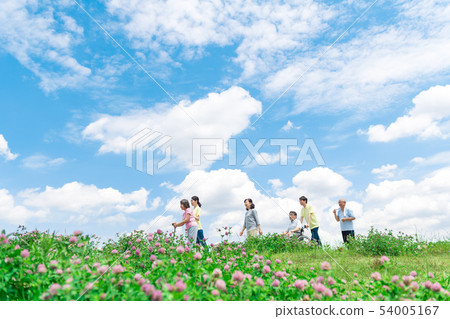 Senior, blue sky, walk, assistance, care, flower, wheelchair 54005167