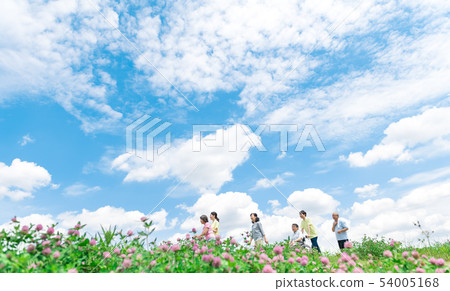 高級,藍藍的天空,步行,援助,護理,花卉,輪椅 高級,藍藍的天空,步行,援助,護理,花卉,輪椅 54005168