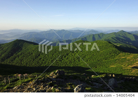 National Park, Deogyusan, old tree, dead tree, attention, ravel 54005404
