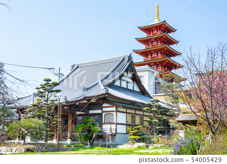 Daizenji main hall five-storied pagoda Daizenji main hall five-storied pagoda 54005429