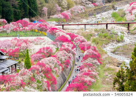 Achi Village Hanatomo no Sato Achi Village Hanatomo no Sato 54005824