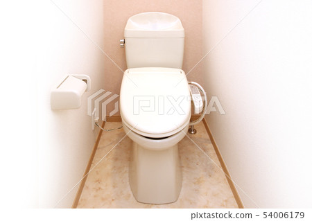 廁所共同的日本房子的美麗的洗手間 54006179