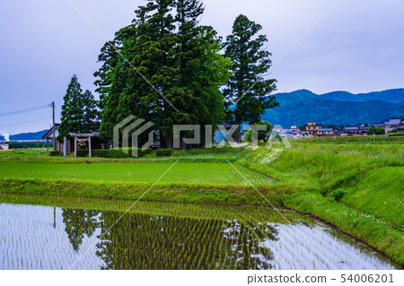 (富山縣)礪波的分散村莊 (富山縣)礪波的分散村莊 54006201