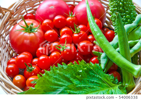Freshly prepared summer vegetables 54006338