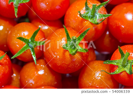 Mini tomatoes taken Mini tomatoes taken 54006339