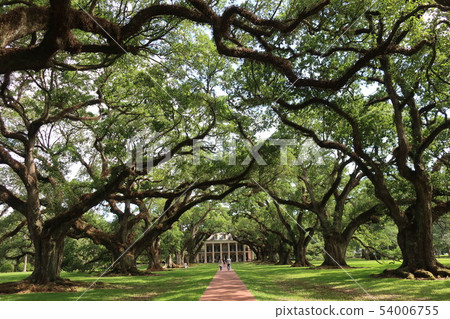 美國南部種植園 54006755