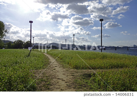 首爾，漢江，公園 54006831