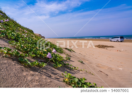 (Ishikawa Prefecture) Senrihama Nagisa Driveway Hamashigao 54007001
