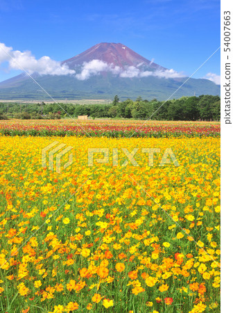 從Yamanakako花首都公園77948的風景 54007663