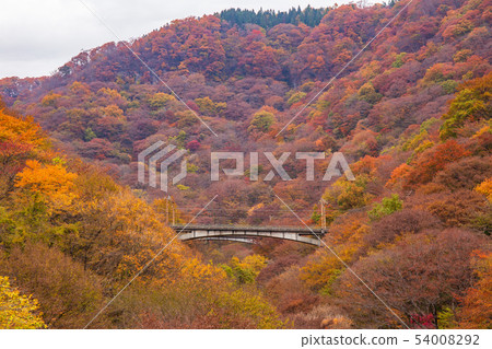 從 Apt 路看秋天的臼井山口 從 Apt 路看秋天的臼井山口 54008292