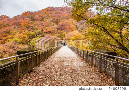 Usui Pass in Autumn: Usui No. 3 Bridge in Autumn Leaves (Megane Bridge) 54008296