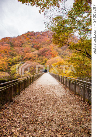 Usui Pass in Autumn: Usui No. 3 Bridge in Autumn Leaves (Megane Bridge) 54008297