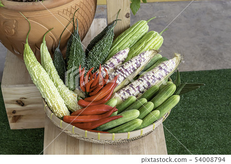 Vegetables in Thailand Cucumber , Corn and Bitter. 54008794
