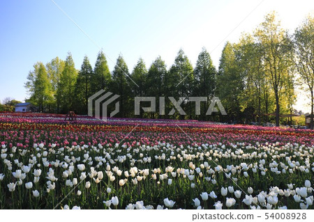 Computer 9682 Computer 9682 54008928