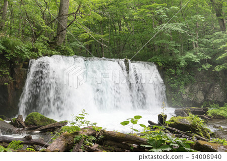 Choshi Otaki Choshi Otaki 54008940