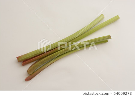 Rhubarb Rhubarb 54009278