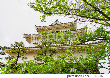 Landscape Story (Marugame Castle) Landscape Story (Marugame Castle) 54010263