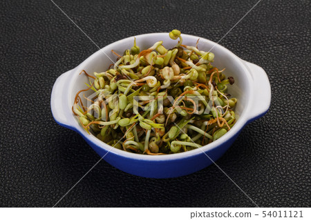 Mash bean sprout Mash bean sprout 54011121