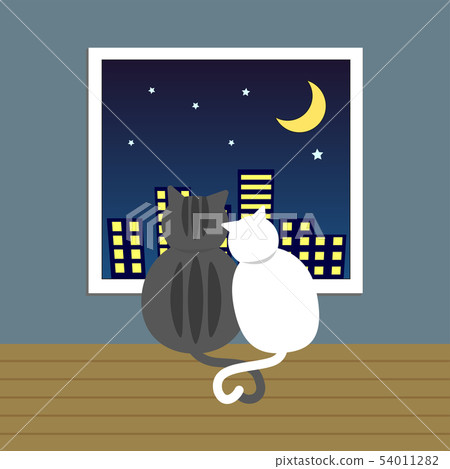 couple lover cat sit together looking outside 54011282