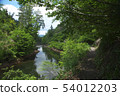 Fresh green Komata Gorge 54012203