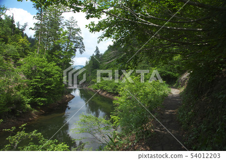 Fresh green Komata Gorge Fresh green Komata Gorge 54012203