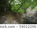 Fresh green Komata Gorge 54012206