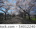 Sakuranosu Central Park 54012240