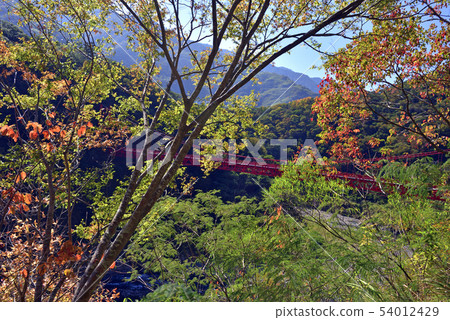 秋天樹的顏色和橋樑 54012429