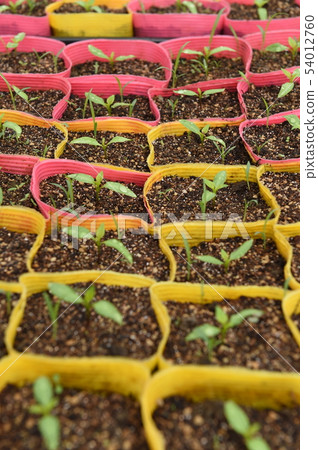 Agriculture Agriculture 54012760