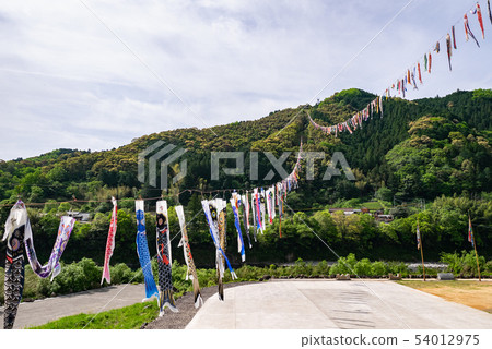Carp streamers fluttering in the sky above the Shimanto River: A spring scene born from the clear waters of Kochi. 54012975