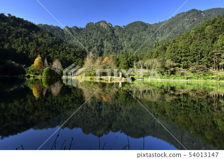 Autumn forest lake view color Autumn forest lake view color 54013147