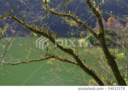 湖泊森林風景秋天的顏色 湖泊森林風景秋天的顏色 54013178