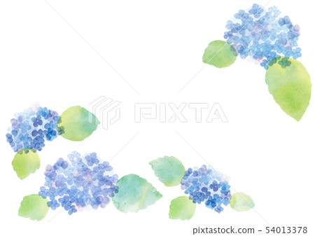 繡球花水彩畫 繡球花水彩畫 54013378