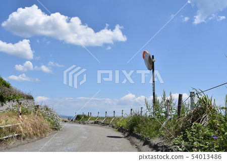 初夏的茅崎海岸 初夏的茅崎海岸 54013486