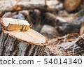 Tree stump with Log stack background 54014340