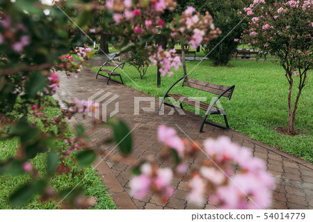 Stylish bench in summer park Stylish bench in summer park 54014779