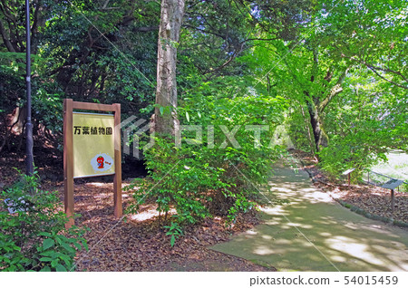 Takatoyama Manyo botanical garden 54015459
