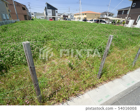 Residential area vacant land 54016008