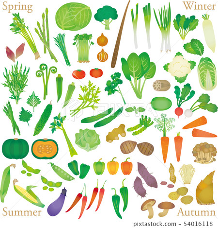 Set gradient of vegetables 54016118