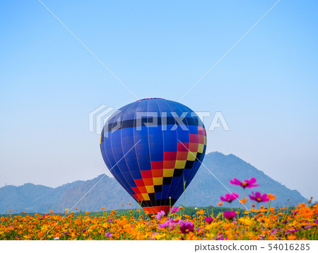 Colourful hot air balloon flying at Singh Park Colourful hot air balloon flying at Singh Park 54016285