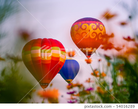 Colourful hot air balloons flying at  Singh Park 54016289