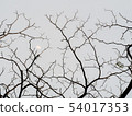 Texture of bare winter tree branches and half 54017353